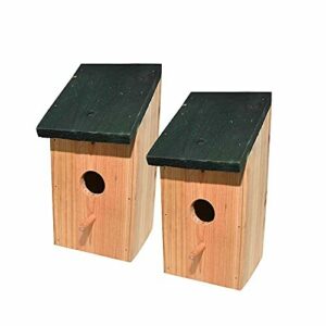 RAM ONLINE 2 x Caja de Madera para Nido de pájaros, casa de…
