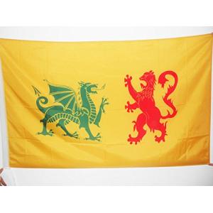 AZ FLAG Bandera de la DINASTÍA Real SUEVA Reino DE GALLAECI…