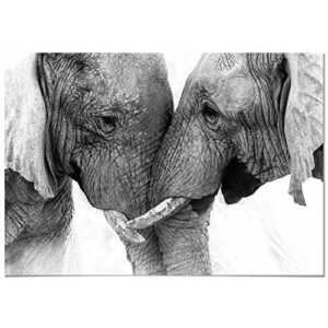 Panorama Poster Pareja Elefantes 100x70cm - Impreso en Pape…