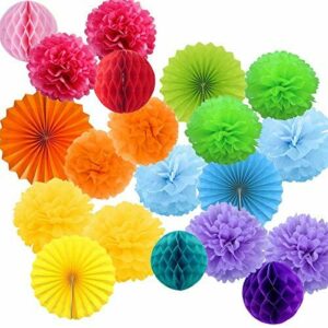 20 Pompones Decoracion Multicolor Flores Pompom de Papel de…