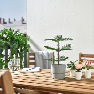 IKEA - Planta artificial interior o exterior araucaria