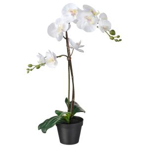 IKEA - Planta artificial orquídea blanco