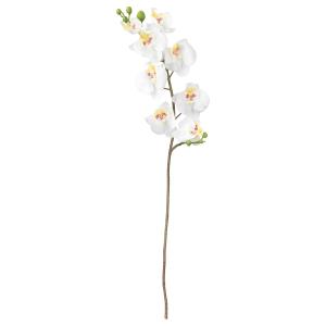 IKEA - Flor artificial orquídea/blanco