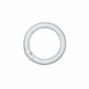 Osram Lumilux T9 Tubo Fluorescente GR10q, 22 W, Blanco (Cool White), 21.6 cm