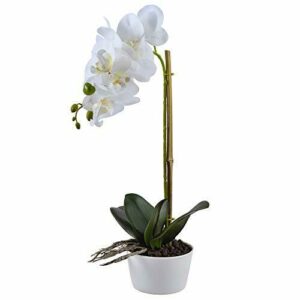 Famibay Orquídeas Artificiales con Maceta Blanca Flores Orquideas Planta Flores de Phalaenopsis para Decoración del Hogar