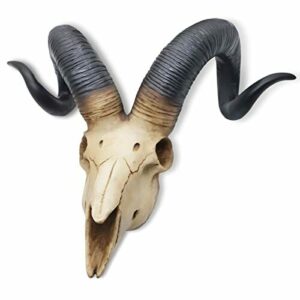 ManyDFYu Estatua de cabeza de animal de imitación para el hogar de resina, decoración de escultura de pared de calavera de oveja (14 pulgadas)