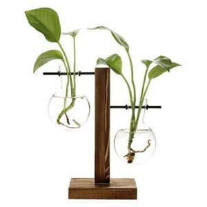 belupai Jarrones de plantas hidropónicas Vintage florero transparente marco de madera plantas de mesa de vidrio decoración de bonsái para el hogar (B - 2 florero de bulbos)