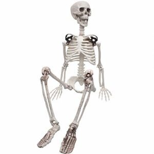 XONOR Esqueleto de cuerpo entero de 90 cm posible para Halloween, huesos humanos realistas con articulaciones móviles para decoración de fiesta de Halloween