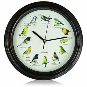 Reloj de pared retro, con diseño de pájaros británicos, 30 x 30 x 4,2 cm, para sala de estar, dormitorio, cocina, exterior, jardín