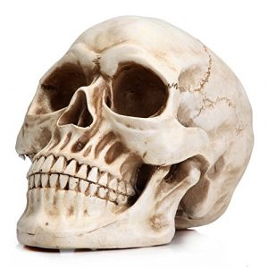 Readaeer Calavera Resina Decoración de Halloween Cráneo Humano Modelo (Tradicional)
