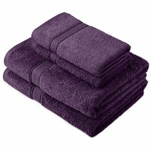 Pinzon by Amazon - Juego de toallas de algodón egipcio (2 toallas de baño y 2 toallas de manos), color morado