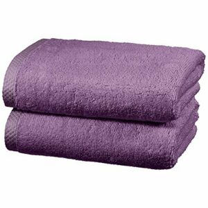 Amazon Basics - Juego de 2 toallas de secado rápido, 2 toallas de mano - Lavanda