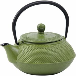 Deuba Tetera de Hierro Fundido estilo japonés para té Vol.750ml Verde con Filtro incorporado y Revestimiento de Esmalte