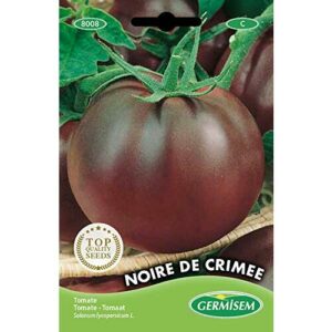 Germisem Noire de Crimée Tomate 20 Semillas (EC8008)