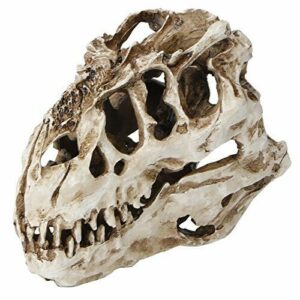 Cikonielf Resina Dinosaurio Modelo De Cráneo Personalidad Esqueleto Animal Adornos Decoración De La Oficina En Casa Colección De Halloween Arte Artesanía Enseñanza Prop